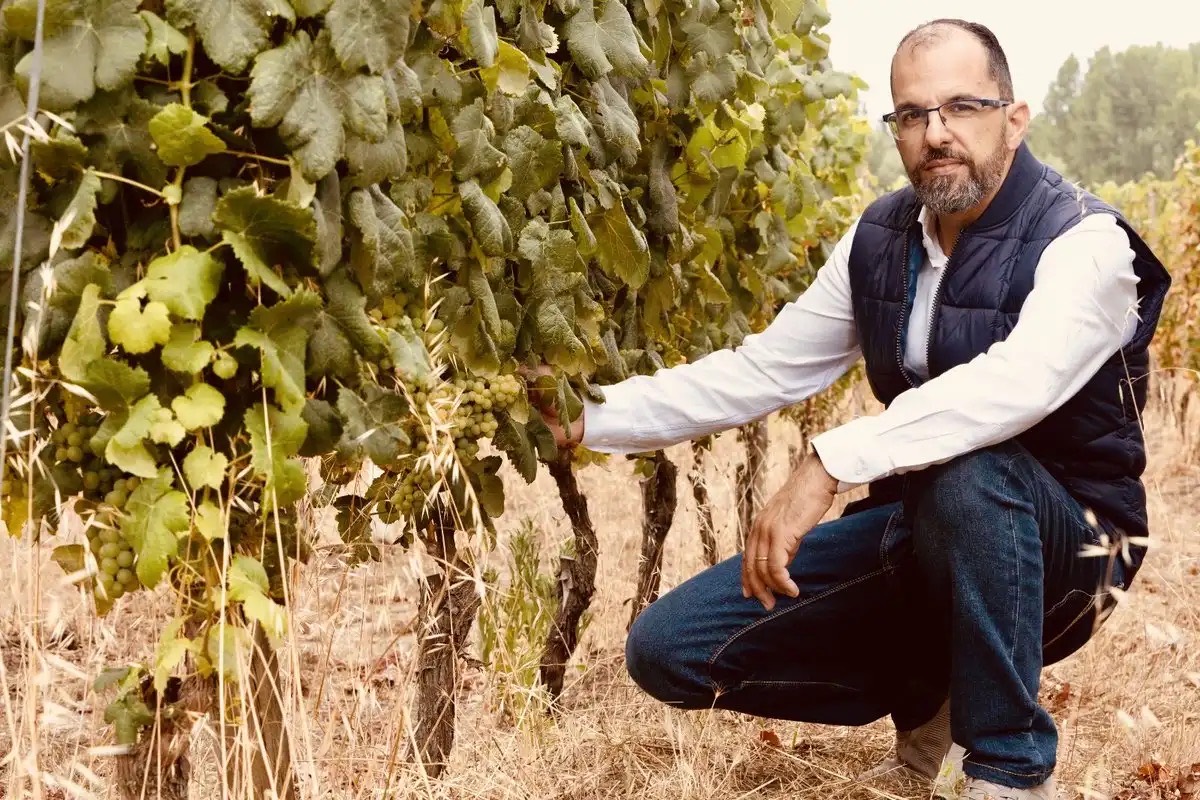 Encontro numa vinha durante Vinhos de Origem